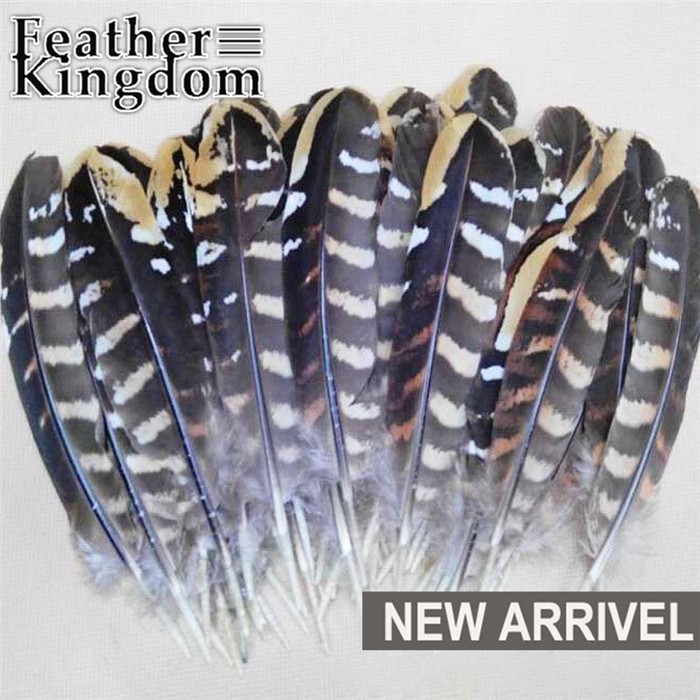 Reeves pheasant feather 7