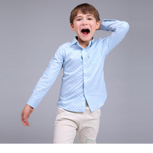 Boys printed floral shirt spring 2016 kids tops clothes fashion simple blue cotton long sleeve blouse boys shirt size 90-130cm