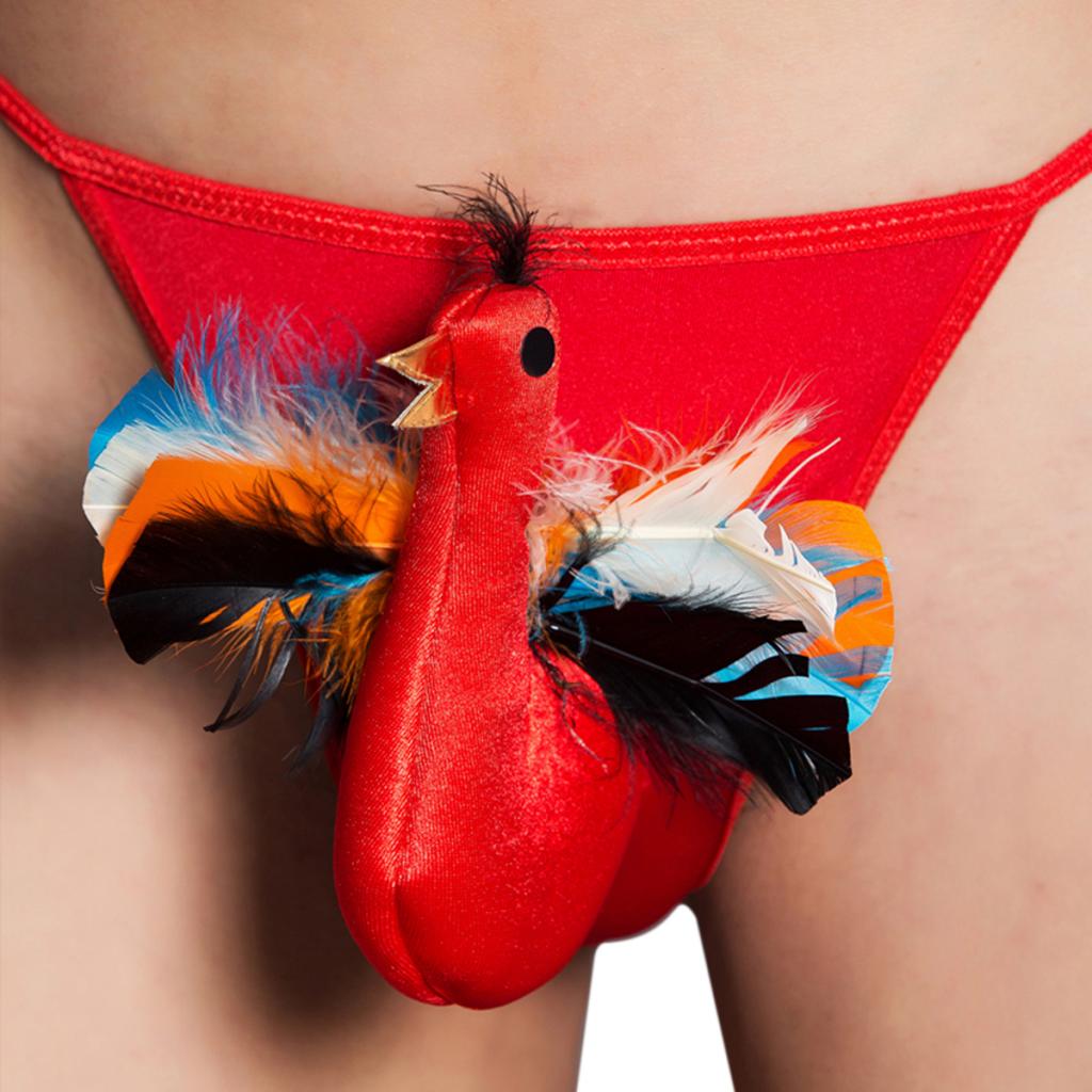 Men Funny Fire Rooster Lingerie G String T Back Th