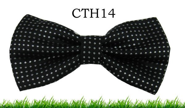 CTH14