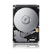 42D0627/ 42D0628 300GB 10K-rpm 6 Gbps SAS 2.5″ NHS HDD For HS21 LS21 LS22